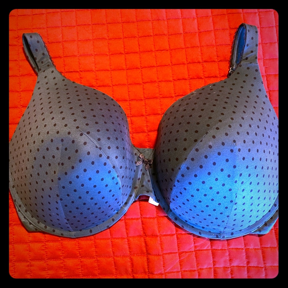 Cacique 42F Cacique Bra Teal w/Black polk a dots